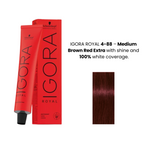Schwarzkopf Igora Royal Hair Color 60Ml 4-88 Medium Brown Red Extra
