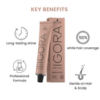 SCHWARZKOPF IGORA ROYAL ABSOLUTES HAIR COLOR SHADE 4-60 60ml