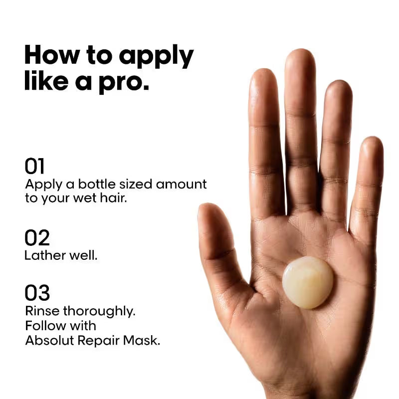 Loreal Professionnel Absolut Repair combo
