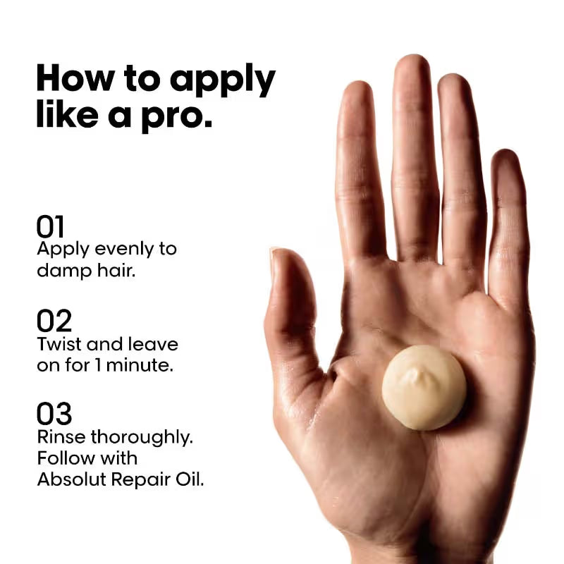 Loreal Professionnel Absolut Repair combo
