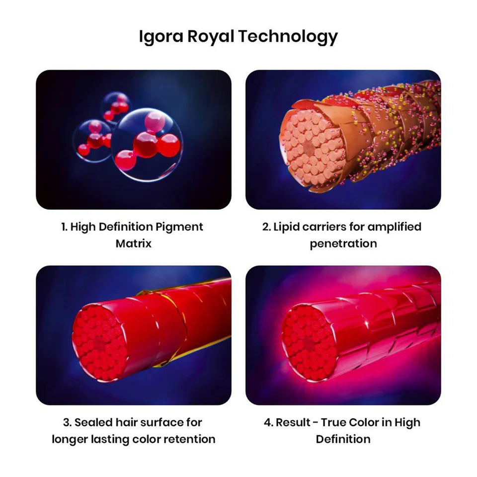 SCHWARZKOPF IGORA ROYAL HAIR COLOR SHADE NO 3-0 (60ML)