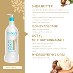 Raaga Professional Pro Botanix Anti-Frizz Conditioner 1000ml