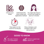 Raaga Professional Pro 10 Express Permanent Hair Color 4 Medium Brown 90g