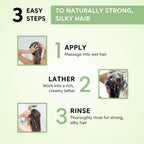 Wella Professionals Elements Renewing Shampoo 1000Ml