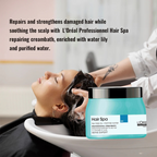 L'Oreal Paris Professional Hair Spa Detox Creambath (490 G)