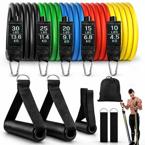 ALYV Premium Resistance Bands Kit