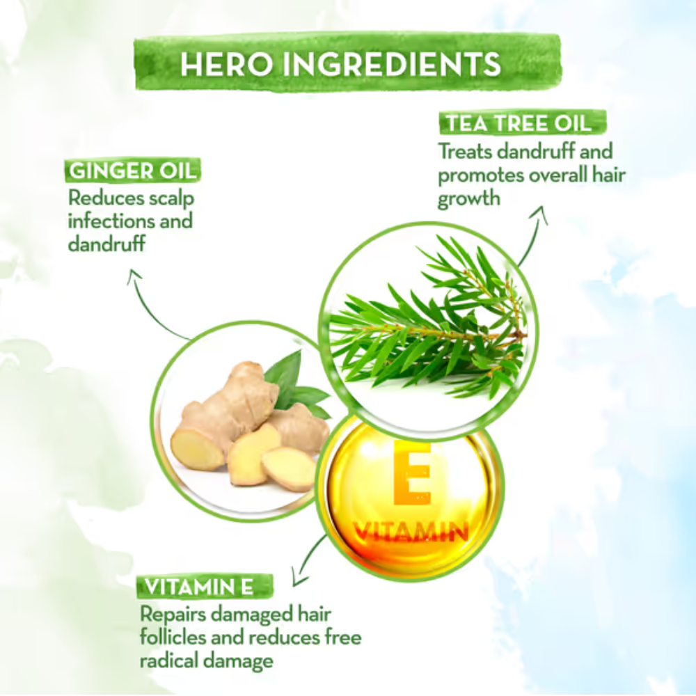 Mamaearth Tea Tree Shampoo for Dandruff Free Hair - 250ml