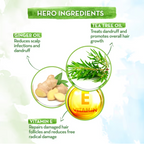 Mamaearth Tea Tree Shampoo for Dandruff Free Hair - 250ml