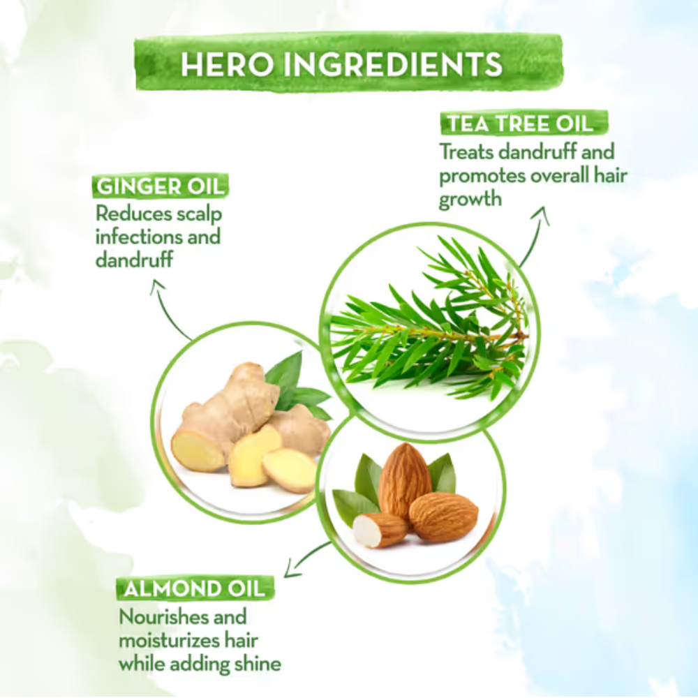 Mamaearth Tea Tree Anti Dandruff Conditioner With Ginger Oil (250ml)