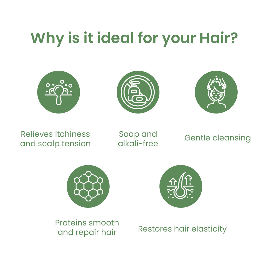 सेबमेड एंटी ड्राई रिवाइटलाइजिंग शैम्पू