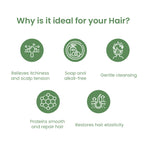 सेबमेड एंटी ड्राई रिवाइटलाइजिंग शैम्पू