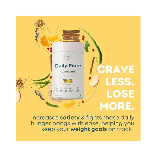 WELLBEING NUTRITION Daily Fiber-Pina Colada-240g