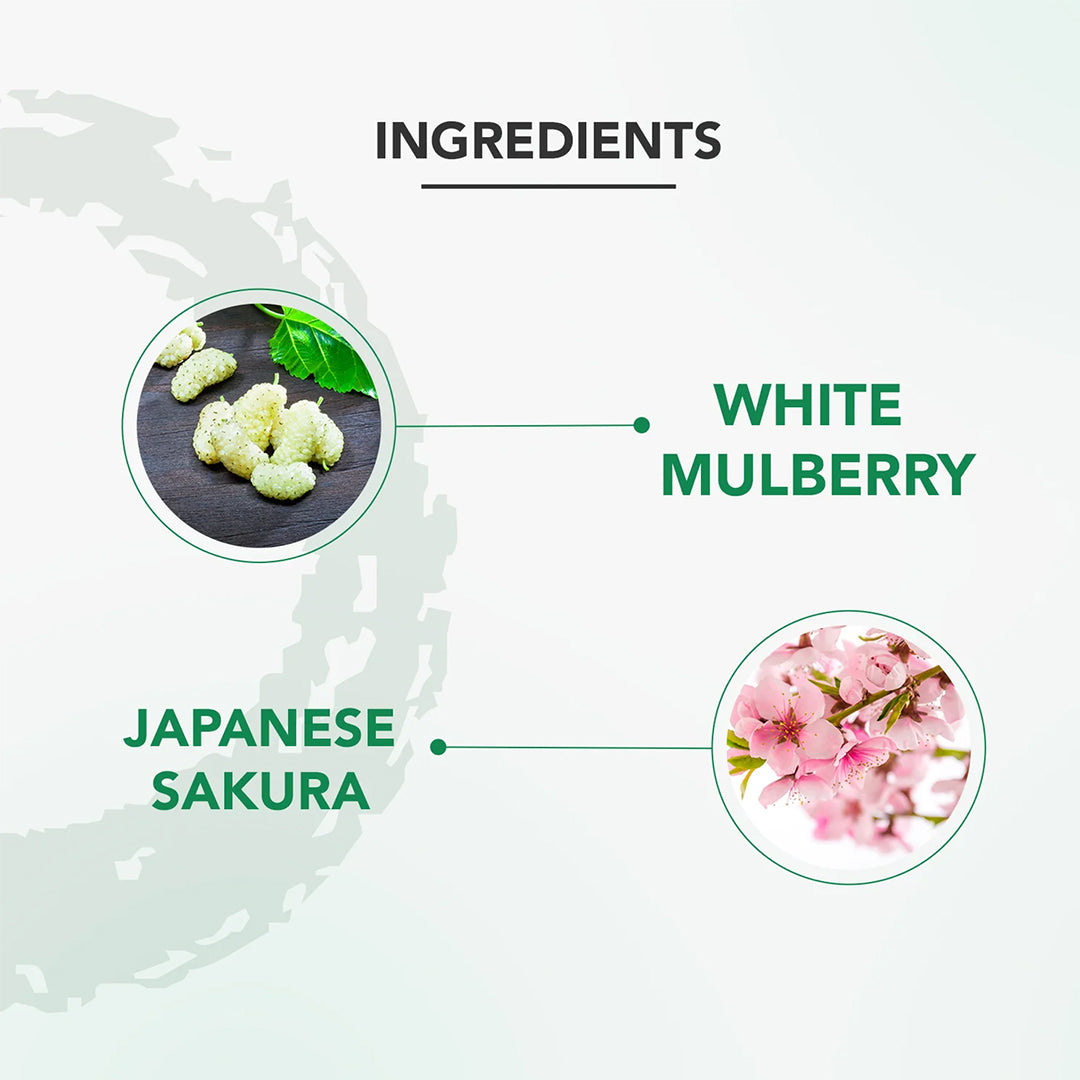 Lotus Professional phyto-RX ANTI AGEING Skin renewal NIGHT CREAM