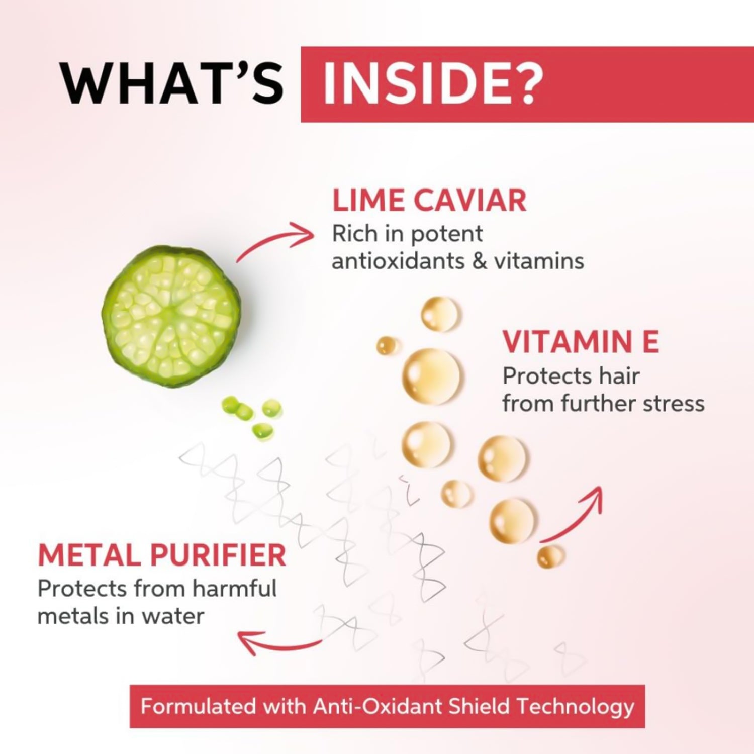 ವೆಲ್ಲಾ ವೃತ್ತಿಪರರು ಇನ್ವಿಗೊ ಕಲರ್ ಬ್ರಿಲಿಯನ್ಸ್ ಶಾಂಪೂ | 250 ಮಿಲಿ