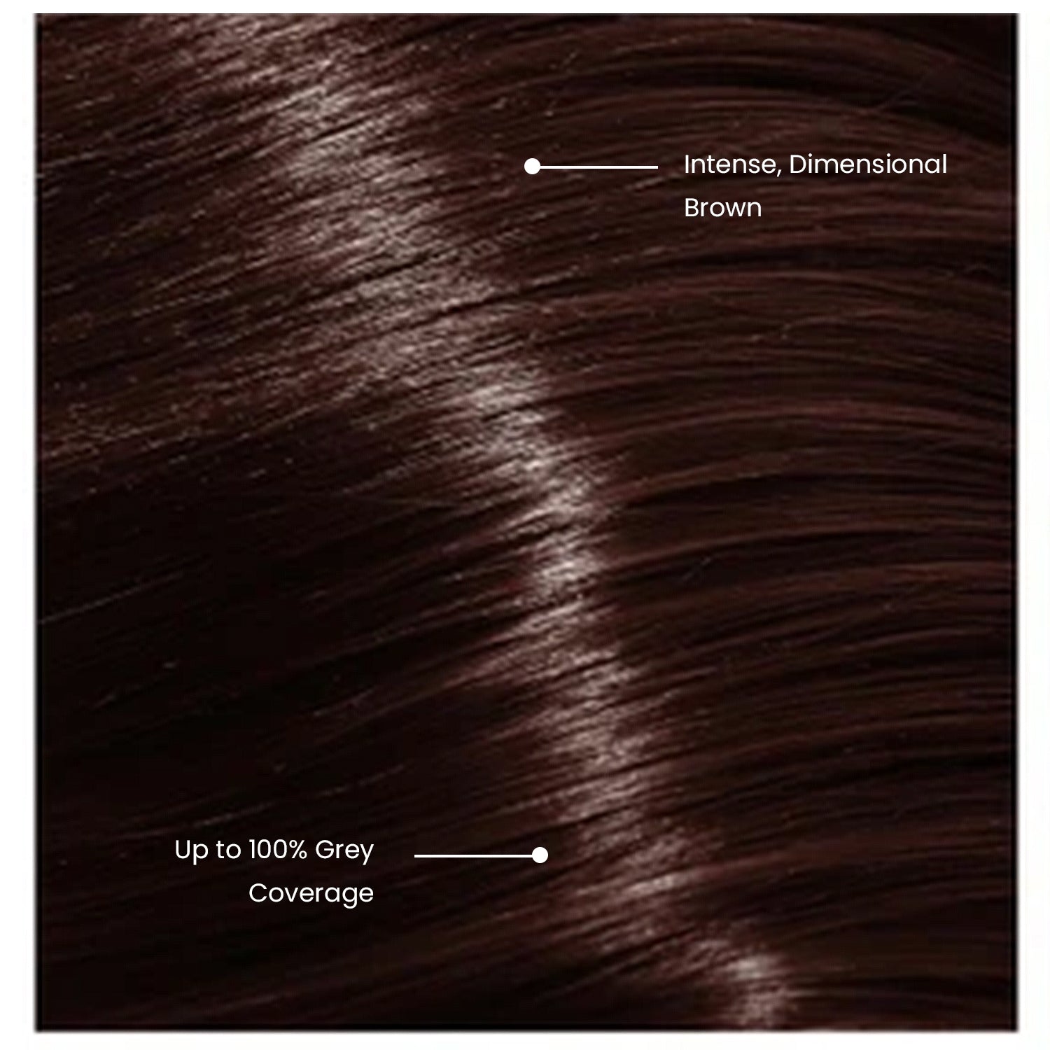 Wella Professionals Koleston Perfect medium Browns intensive Hair Color 4/77 Colorant Tube 60G